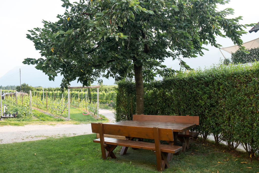 Ferienwohnung Pippohof Appiano Sulla Strada Del Vino Oda fotoğraf