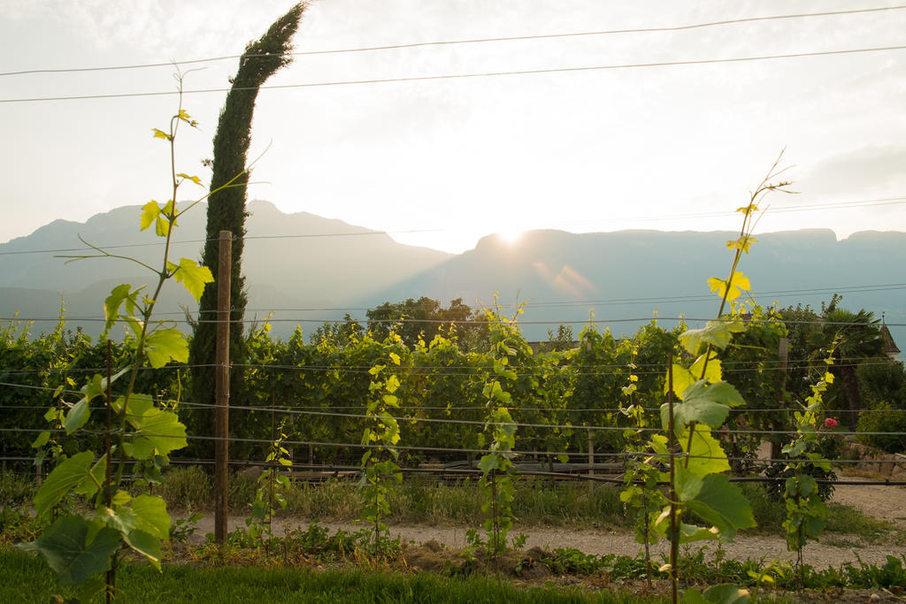 Ferienwohnung Pippohof Appiano Sulla Strada Del Vino Oda fotoğraf
